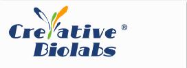 Creative Biolabs logo